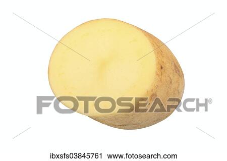 "Potato, Concordia variety, cut in half" View Large Photo Image Stock Image - "Potato, Concordia variety, cut in half". Fotosearch