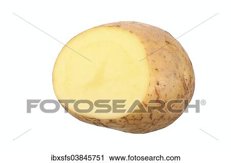 "Potato, Granola variety, cut in half" View Large Photo Image Stock Image - "Potato, Granola variety, cut in half". Fotosearch