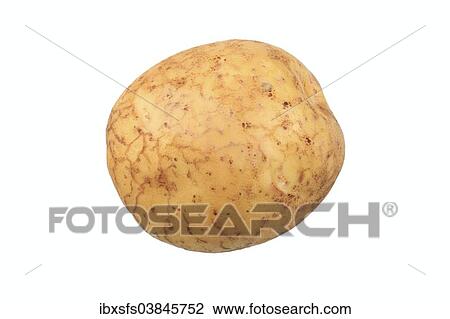 "Potato, Granola variety" View Large Photo Image Stock Image - "Potato, Granola variety". Fotosearch