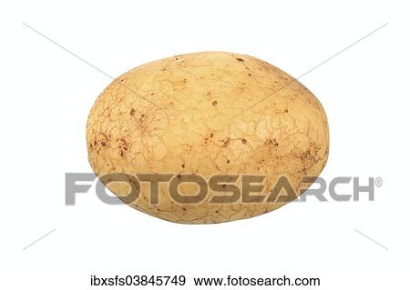 "Potato, Grata variety" View Large Photo Image Stock Photo - "Potato, Grata variety". Fotosearch