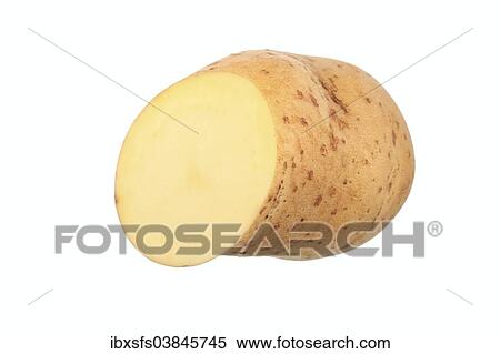 "Potato, Heideniere variety, cut in half" View Large Photo Image Stock Photography - "Potato, Heideniere variety, cut in half". Fotosearch