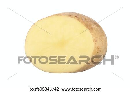 "Potato, Heidi variety, cut in half" View Large Photo Image Stock Image - "Potato, Heidi variety, cut in half". Fotosearch