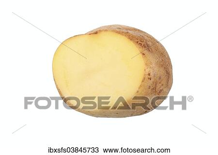 "Potato, """"Industrie"""" variety, cut in half" View Large Photo Image Stock Image - "Potato, """"Industrie"""" variety, cut in half". Fotosearch