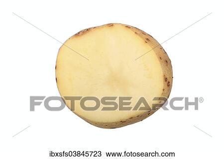 "Potato, La Bonnotte de Noirmoutier variety, cut in half" View Large Photo Image Stock Image - "Potato, La Bonnotte de Noirmoutier variety, cut in half". Fotosearch