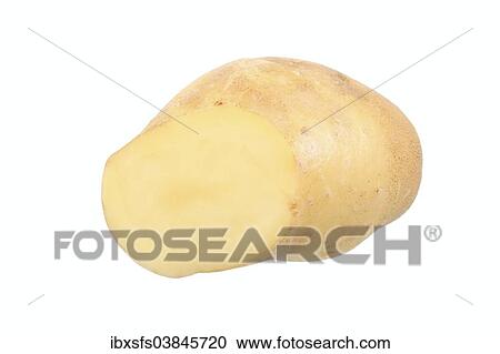 Stock Image - "Potato, La Ratte d'Ardeche variety, cut in half". Fotosearch