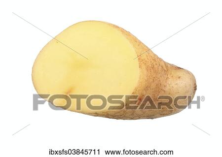 "Potato, Mayan Gold variety, cut in half" View Large Photo Image Stock Image - "Potato, Mayan Gold variety, cut in half". Fotosearch
