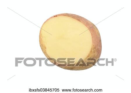 "Potato, Mayan Twilight variety, cut in half" View Large Photo Image Stock Photography - "Potato, Mayan Twilight variety, cut in half". Fotosearch