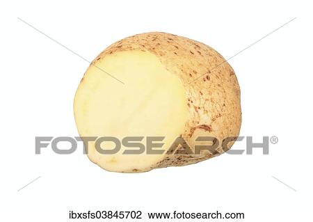 "Potato, """"Mehlige Muhlviertler"""" variety, cut in half" View Large Photo Image Stock Image - "Potato, """"Mehlige Muhlviertler"""" variety, cut in half". Fotosearch