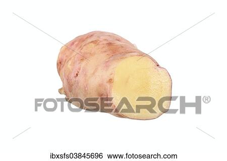 "Potato, Pink Fire Apple variety, cut in half" View Large Photo Image Stock Photograph - "Potato, Pink Fire Apple variety, cut in half". Fotosearch