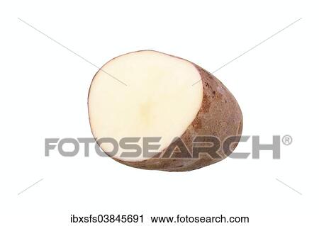 "Potato, """"Preussen"""" variety, cut in half" View Large Photo Image Stock Image - "Potato, """"Preussen"""" variety, cut in half". Fotosearch