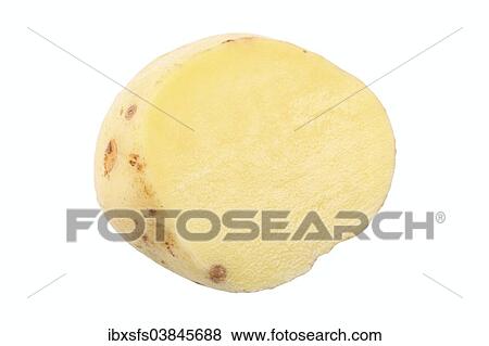 "Potato, """"Prinzen"""" variety, cut in half" View Large Photo Image Stock Photo - "Potato, """"Prinzen"""" variety, cut in half". Fotosearch