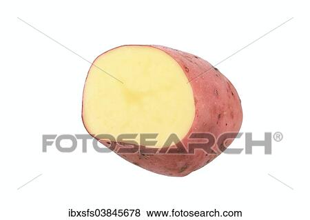 "Potato, Red Fantasy variety, cut in half" View Large Photo Image Stock Photo - "Potato, Red Fantasy variety, cut in half". Fotosearch