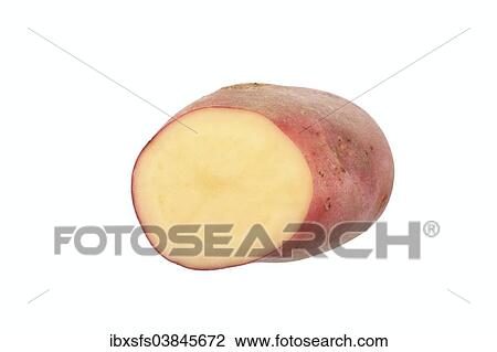 "Potato, Roseval variety, cut in half" View Large Photo Image Stock Image - "Potato, Roseval variety, cut in half". Fotosearch