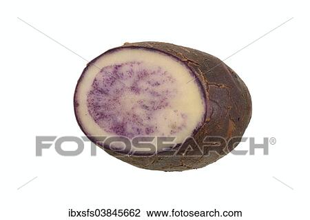 Stock Image - "Potato, Shetland Black variety, cut in half". Fotosearch