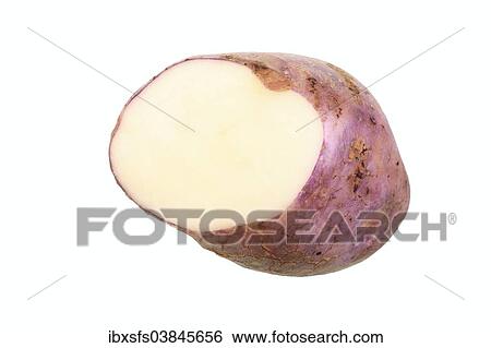 "Potato, Skerry Blue variety, cut in half" View Large Photo Image Stock Photograph - "Potato, Skerry Blue variety, cut in half". Fotosearch
