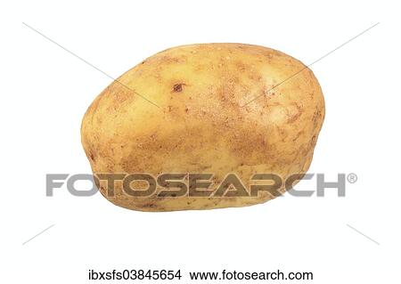 "Potato, Solara variety" View Large Photo Image Picture - "Potato, Solara variety". Fotosearch