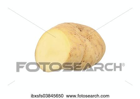 "Potato, """"Spargelkartoffel"""" variety, cut in half" View Large Photo Image Stock Image - "Potato, """"Spargelkartoffel"""" variety, cut in half". Fotosearch