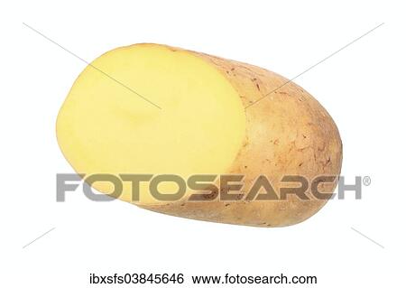 "Potato, Talent variety, cut in half" View Large Photo Image Stock Photograph - "Potato, Talent variety, cut in half". Fotosearch