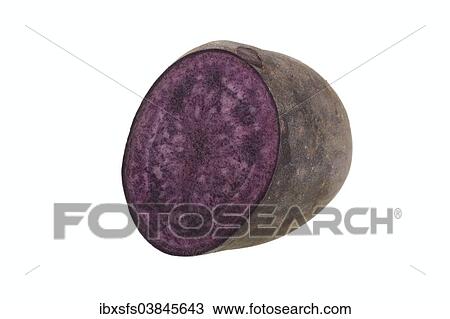 "Potato, Violetta variety, cut in half" View Large Photo Image Stock Image - "Potato, Violetta variety, cut in half". Fotosearch
