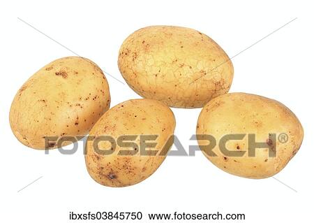 "Potatoes, Grata variety" View Large Photo Image Stock Image - "Potatoes, Grata variety". Fotosearch
