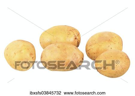 "Potatoes, Jelly variety" View Large Photo Image Stock Image - "Potatoes, Jelly variety". Fotosearch