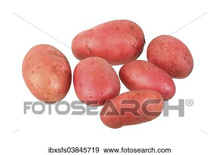 "Potatoes, Laura variety" View Large Photo Image Stock Photo - "Potatoes, Laura variety". Fotosearch
