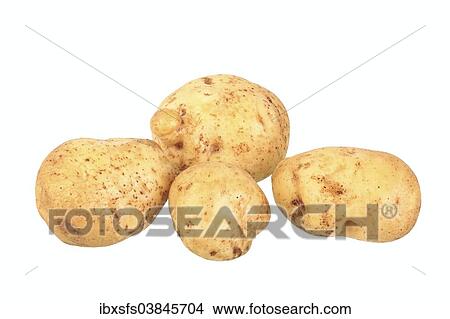 Picture - "Potatoes, """"Mehlige Muhlviertler"""" variety". Fotosearch
