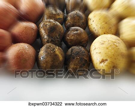 "Potatoes, three varieties" View Large Photo Image Stock Image - "Potatoes, three varieties". Fotosearch