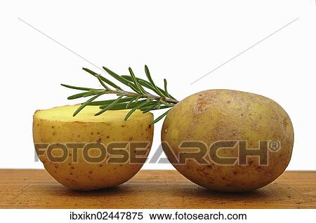 Potatoes with rosemary twig View Large Photo Image Stock Photography - Potatoes with rosemary twig. Fotosearch