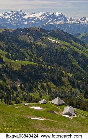 "Pre-alpine landscape with alpine cabins, the snow-capped Bernese Alps at the back, near Ablandschen, Saanen, Canton of Bern, Switzerland, Europe" View Large Photo Image Picture - "Pre-alpine landscape with alpine cabins, the snow-capped Bernese Alps at the back, near Ablandschen, Saanen, Canton of Bern, Switzerland, Europe". Fotosearch