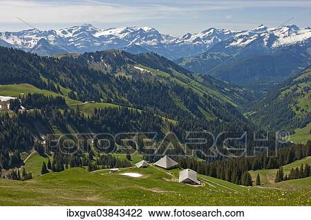 "Pre-alpine landscape with alpine cabins, the snow-capped Bernese Alps at the back, near Ablandschen, Saanen, Canton of Bern, Switzerland, Europe" View Large Photo Image Stock Image - "Pre-alpine landscape with alpine cabins, the snow-capped Bernese Alps at the back, near Ablandschen, Saanen, Canton of Bern, Switzerland, Europe". Fotosearch