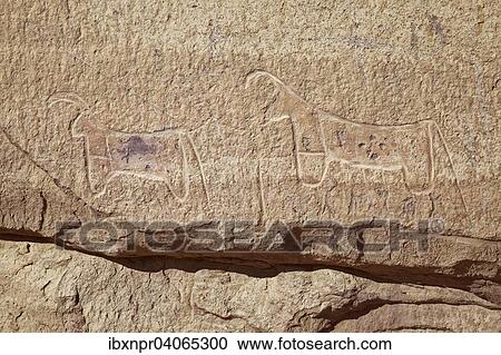 "Prehistoric rock carving, goats, Desert, Wadi Rum, Jordan, Asia" View Large Photo Image Stock Image - "Prehistoric rock carving, goats, Desert, Wadi Rum, Jordan, Asia". Fotosearch