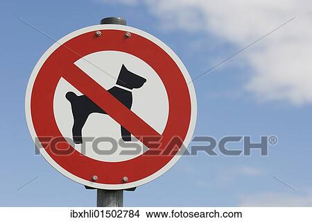 "Prohibition sign, no dogs" View Large Photo Image Picture - "Prohibition sign, no dogs". Fotosearch