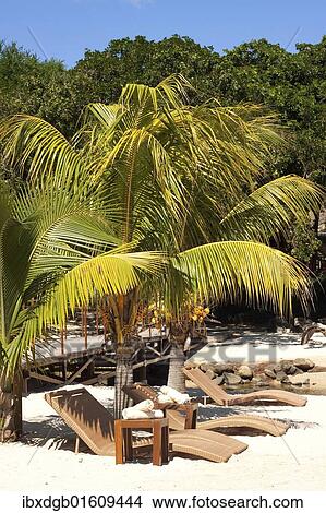 "Public beach of Albion on the island of Mauritius, Africa" View Large Photo Image Picture - "Public beach of Albion on the island of Mauritius, Africa". Fotosearch