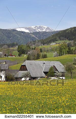 "Puchschachen near Knittelfeld, Upper Styria, Styria, Austria, Europe, PublicGround, Europe" View Large Photo Image Stock Image - "Puchschachen near Knittelfeld, Upper Styria, Styria, Austria, Europe, PublicGround, Europe". Fotosearch