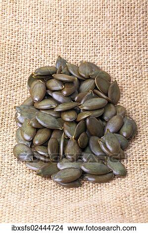 Picture - Pumpkin seeds from the Styrian Oil Pumpkin. Fotosearch