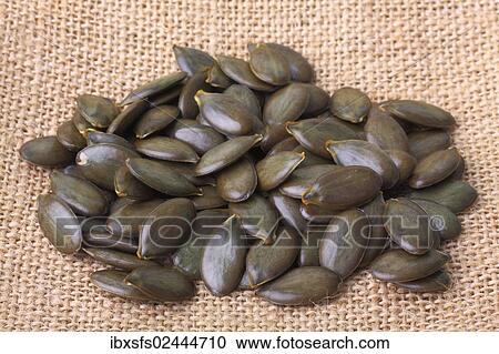 Pumpkin seeds from the Styrian Oil Pumpkin View Large Photo Image Stock Image - Pumpkin seeds from the Styrian Oil Pumpkin. Fotosearch