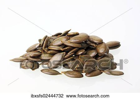 Pumpkin seeds from the Styrian Oil Pumpkin View Large Photo Image Stock Image - Pumpkin seeds from the Styrian Oil Pumpkin. Fotosearch