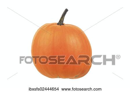 "Pumpkin variety, Halloween Pumpkin" View Large Photo Image Picture - "Pumpkin variety, Halloween Pumpkin". Fotosearch