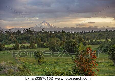 "Puyehue volcano in the evening light, Puyehue, Los Lagos Region, Chile, South America" View Large Photo Image Stock Image - "Puyehue volcano in the evening light, Puyehue, Los Lagos Region, Chile, South America". Fotosearch