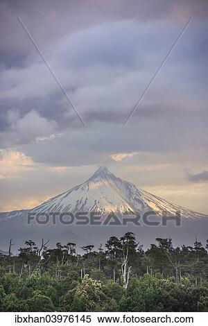 "Puyehue volcano in the evening light, Puyehue, Los Lagos Region, Chile, South America" View Large Photo Image Stock Photography - "Puyehue volcano in the evening light, Puyehue, Los Lagos Region, Chile, South America". Fotosearch