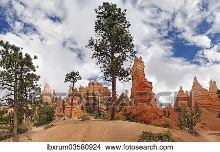 "Queens Garden, a landscape formed by erosion with sandstone pillars or hoodoos, with pine trees, Bryce Canyon National Park, Utah, United States, North America" View Large Photo Image Picture - "Queens Garden, a landscape formed by erosion with sandstone pillars or hoodoos, with pine trees, Bryce Canyon National Park, Utah, United States, North America". Fotosearch