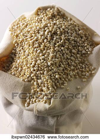 Quinoa grains View Large Photo Image Stock Photograph - Quinoa grains. Fotosearch