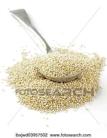 Quinoa View Large Photo Image Stock Image - Quinoa. Fotosearch