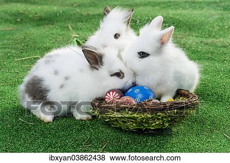 Stock Photo - "Rabbits with a basket, Easter eggs". Fotosearch