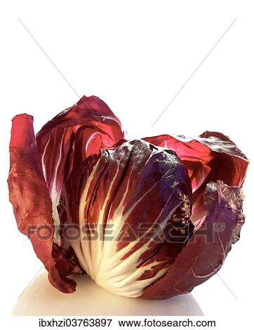 Radicchio View Large Photo Image Stock Photo - Radicchio. Fotosearch