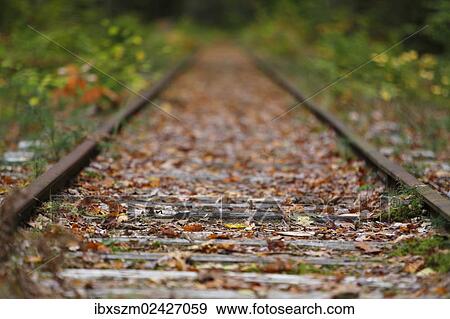 "Railroad tracks in autumn, New Hampshire, USA" View Large Photo Image Stock Photo - "Railroad tracks in autumn, New Hampshire, USA". Fotosearch