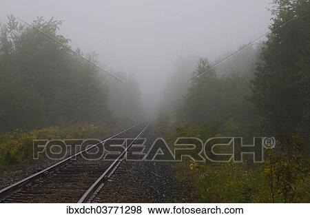 "Railroad tracks in the morning fog, Foster, Eastern Townships, Quebec Province, Canada, North America" View Large Photo Image Stock Photo - "Railroad tracks in the morning fog, Foster, Eastern Townships, Quebec Province, Canada, North America". Fotosearch