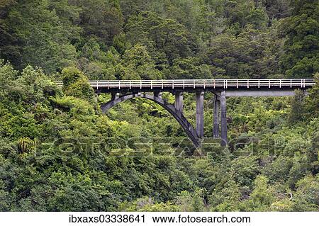 "Railway bridge in the jungle, Charleston, West Coast Region, New Zealand, Oceania" View Large Photo Image Stock Image - "Railway bridge in the jungle, Charleston, West Coast Region, New Zealand, Oceania". Fotosearch