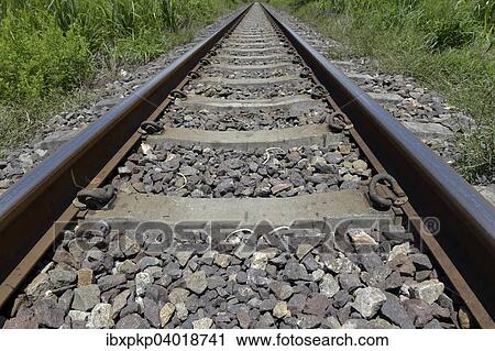Railway track leading to infinity View Large Photo Image Stock Image - Railway track leading to infinity. Fotosearch